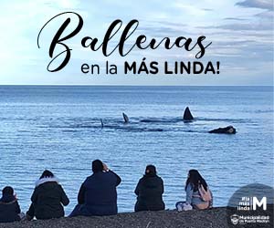 Madryn Ballenas