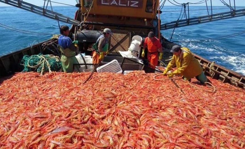 Recalculando: marcha atrás con la prospección inconsulta en el Golfo San Jorge
