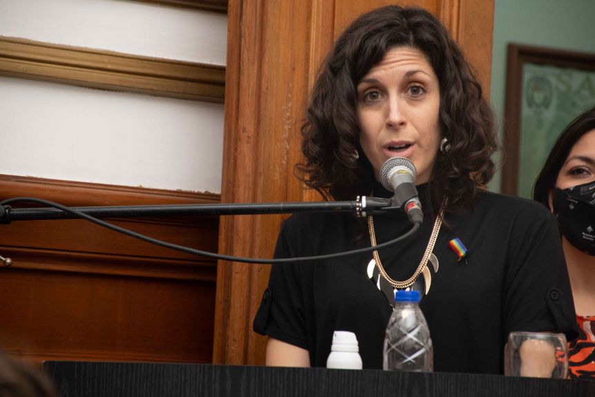 Desde el peronismo arrojaron críticas al proyecto de la empresa de alimentos de Vidal