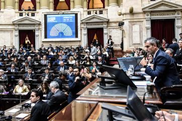 Representantes Patagónicos: el desempeño legislativo