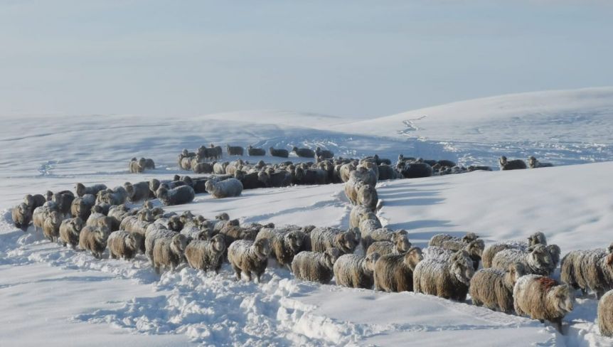 El Gobierno Provincial oficializó la prórroga de la Emergencia Agropecuaria
