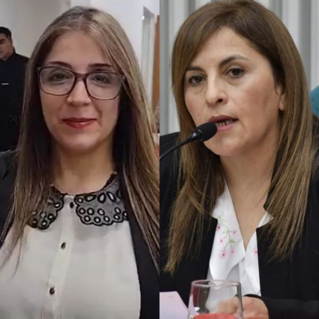 Cortocircuitos en el CPE por un viaje a Suiza de la presidenta, Iris Rasgido