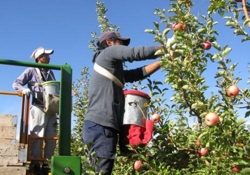 Nación recorta el financiamiento de la barrera sanitaria en la Patagonia
