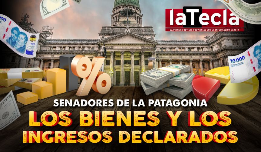 Los bienes e ingresos declarados de los senadores patagónicos