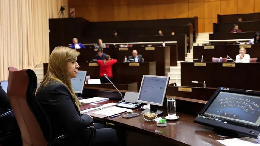 Fondo anticíclico, prepotencia, chispazos y mucho enojo en la Legislatura