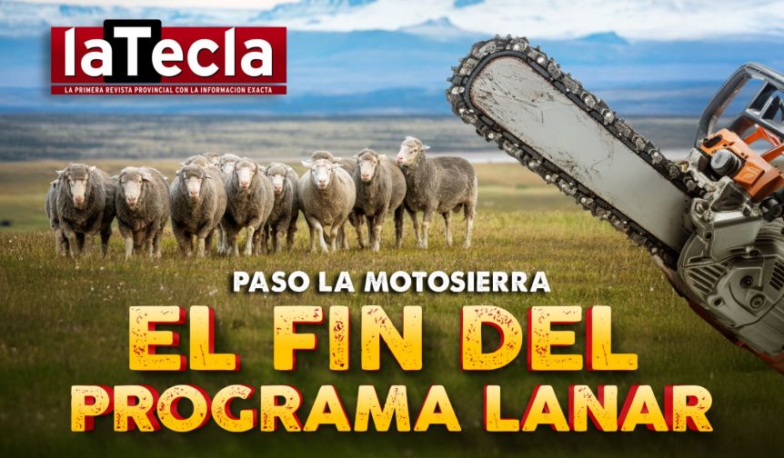 Fin del Plan LanAR: Milei pasa la motosierra otra vez en el sector ovino