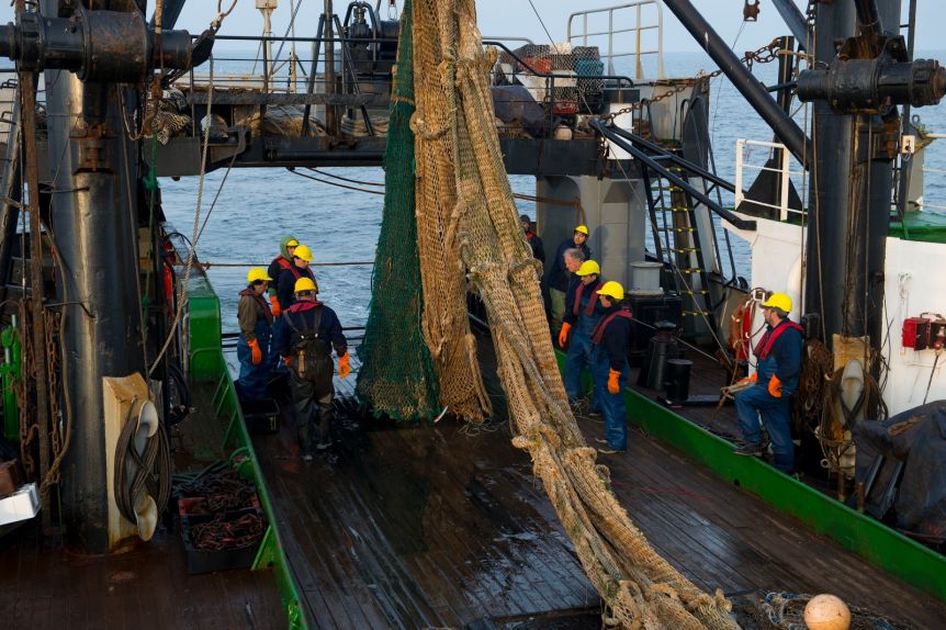 Renovación de cuotas de merluza hubbsi: cómo impacta en la Patagonia