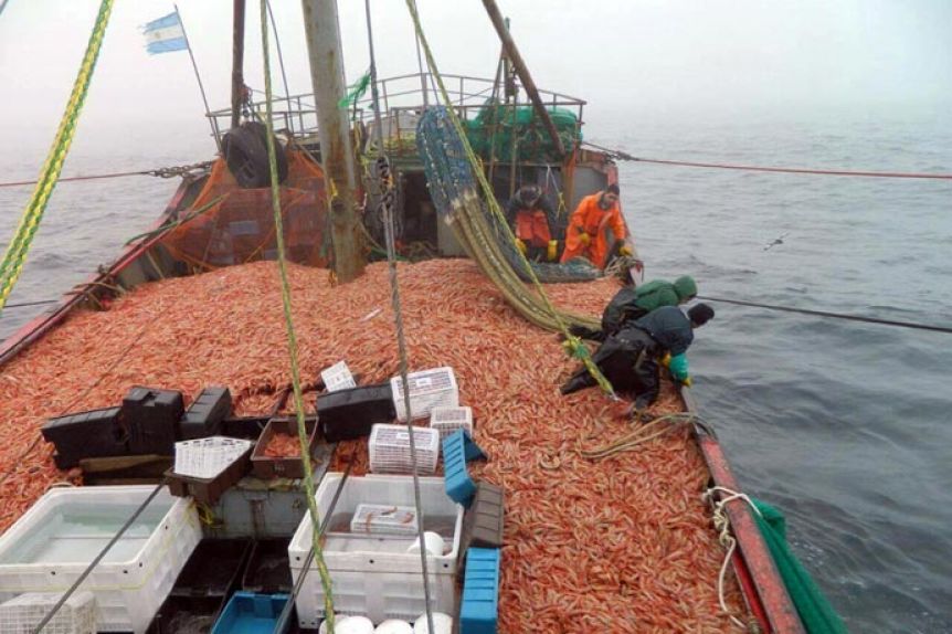 La secretaria de Pesca levanta la suspensión para capturar langostinos