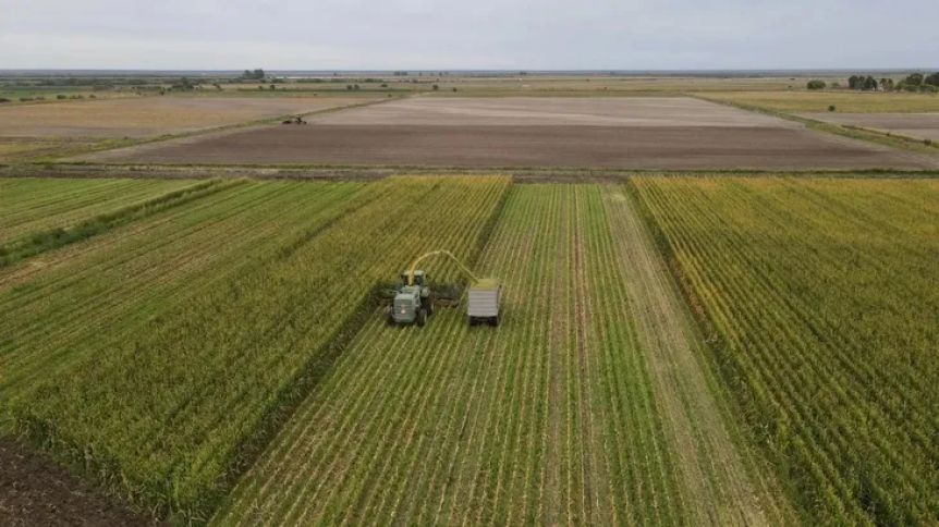 Por la agricultura, Río Negro cosechó un impacto superior a los US$150 millones