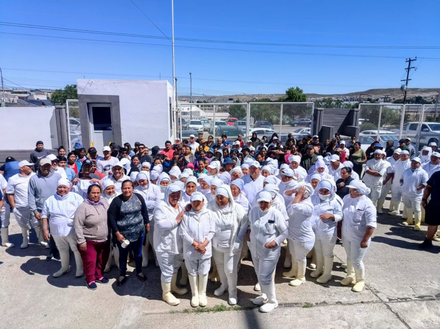 La Provincia sale al rescate de una planta pesquera en Caleta Olivia