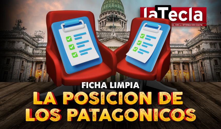 Ficha Limpia: la postura de los diputados patagónicos