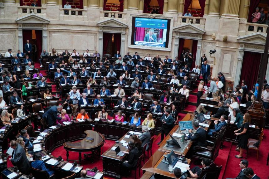 Suspensión de las PASO, reiterancia y reincidencia: el voto de los sureños