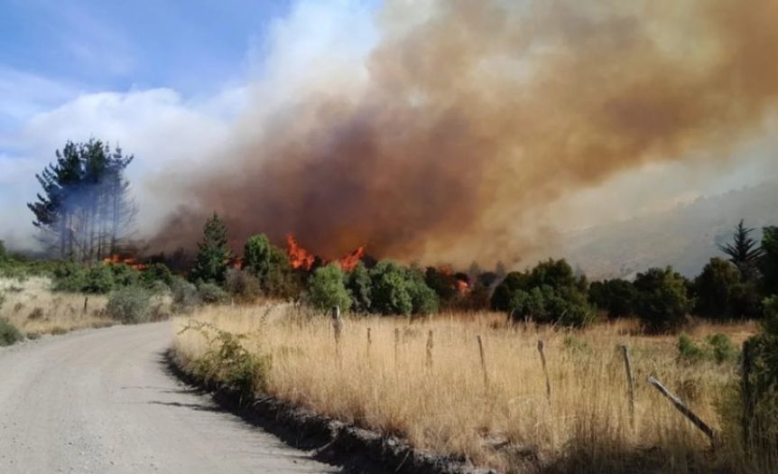 Nuevo foco de incendio y Torres pone todos los recursos en Trevelin