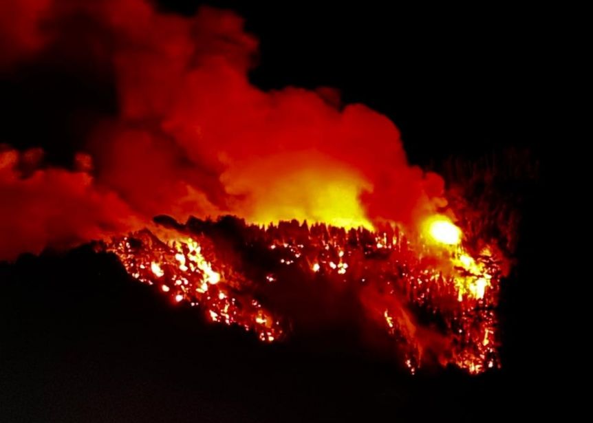 Nuevo incendio Los Alerces: desde Nación aseguran que fue intencional
