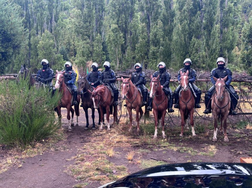 Usurpación Mapuche en Cuesta del Ternero: desalojo y advertencia de Weretilneck