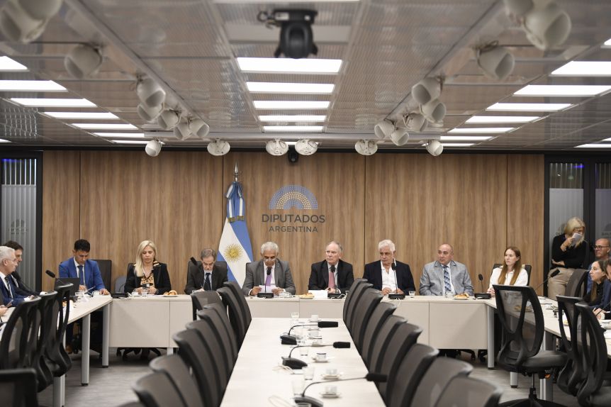 Santa Cruz reclamó en Diputados medidas para fortalecer la exploración minera