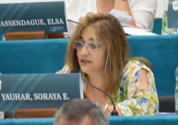 Yauhar reclamó a Vialidad obras para la región