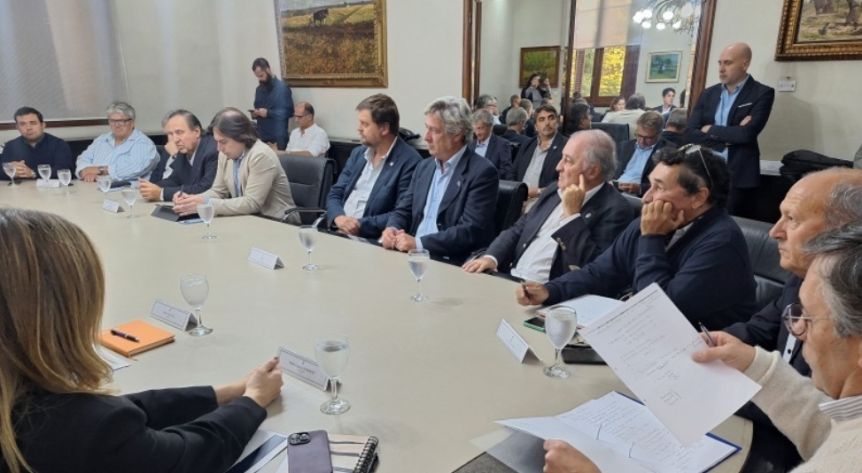 Provincias patagónicas pidieron a Nación extender su estatus sanitario al resto del país