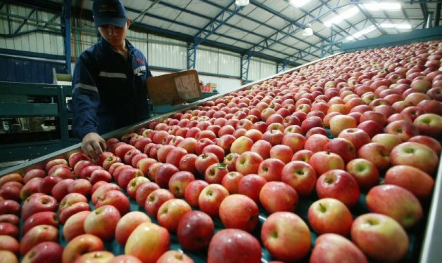 Se agudiza la crisis frutícola y productores piden medidas urgentes a Nación