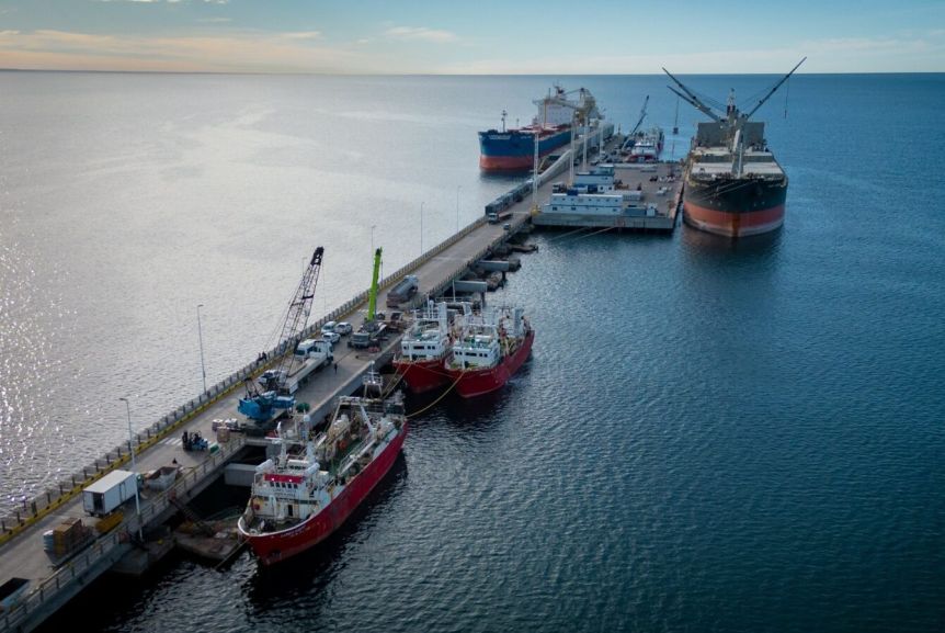 Temporada perdida: los congeladores no pescarán langostino hasta 2026