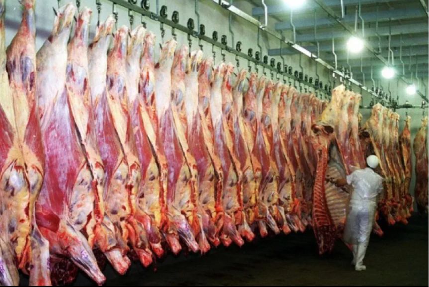 Por los cambios del Senasa, Chile cerró las puertas a la importación de carne patagónica