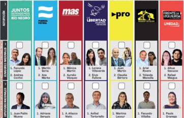Qué harán los 19 funcionarios públicos rionegrinos que se presentaron como  candidatos