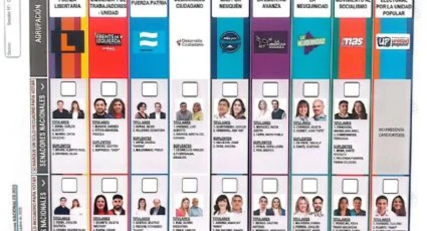Cómo quedó posicionada cada fuerza en la BUP en las provincias de la Patagonia
