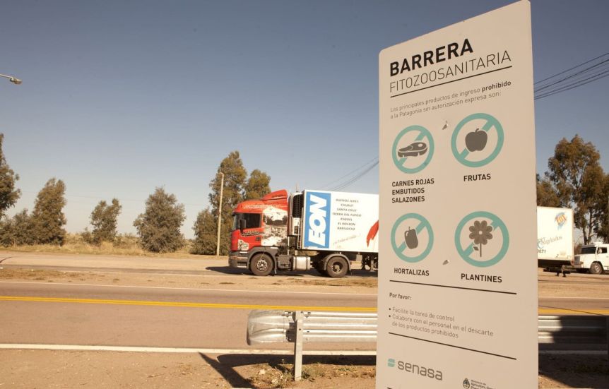 Barrera sanitaria: la Justicia puso un stop temporal al ingreso de carne con hueso