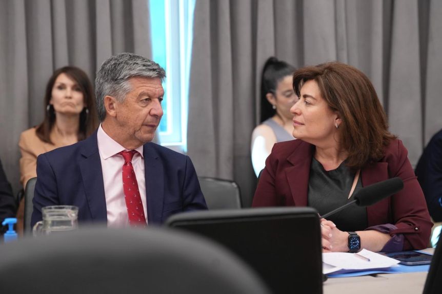 Hidrógeno verde y Energías renovables: dictamen favorable y pedido de acompañamiento