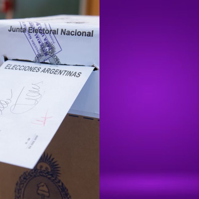 Interna violeta: LLA y el Partido Libertario se disputan el uso del color rumbo a octubre