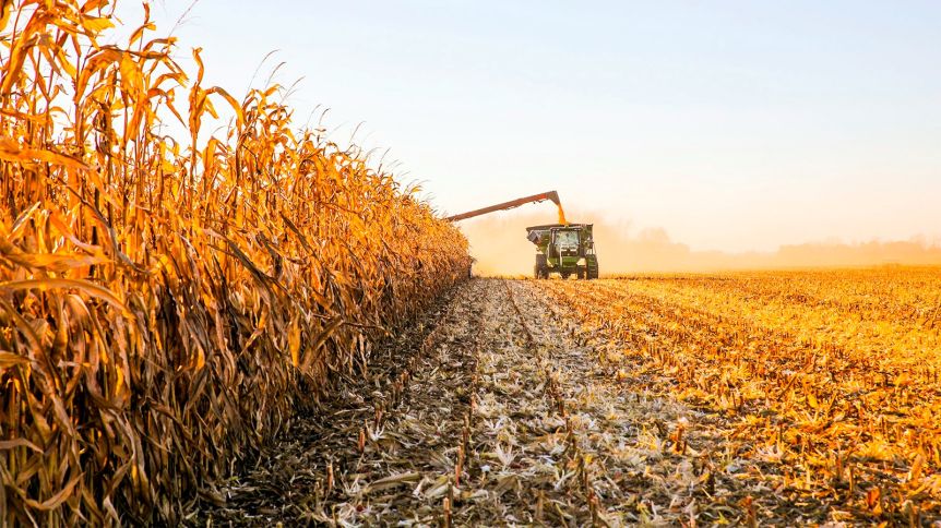 El campo vuelve a pagar retenciones tras agotar el cupo de USD 7.000 millones