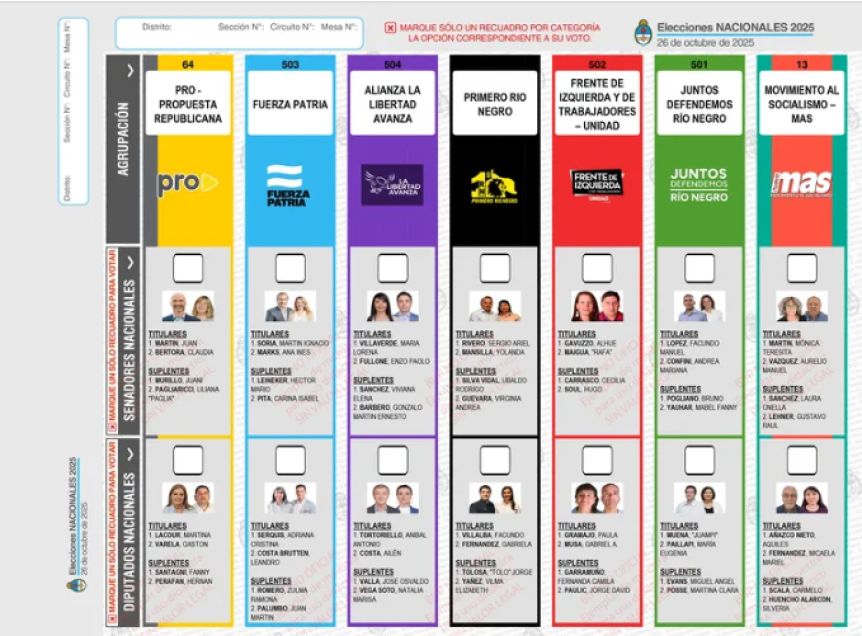 En Río Negro, la mayoría de las fuerzas no informó quiénes aportaron para la campaña