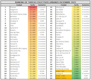 Los boletos de transporte público más caros de la Patagonia se concentran en Rio Negro