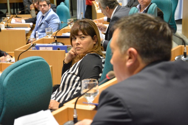 Gabriela Peralta presento proyecto complementario para la devolución del 15%
