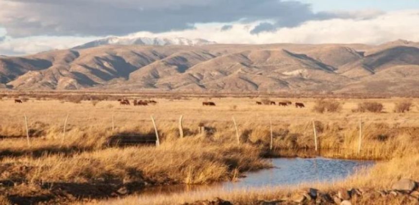 Nación declaró la emergencia agropecuaria en Neuquén por la crisis hídrica