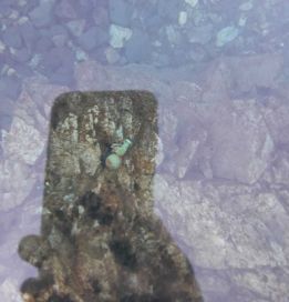 Hallazgo de explosivos en Epuyén: Torres encabeza el operativo de seguridad