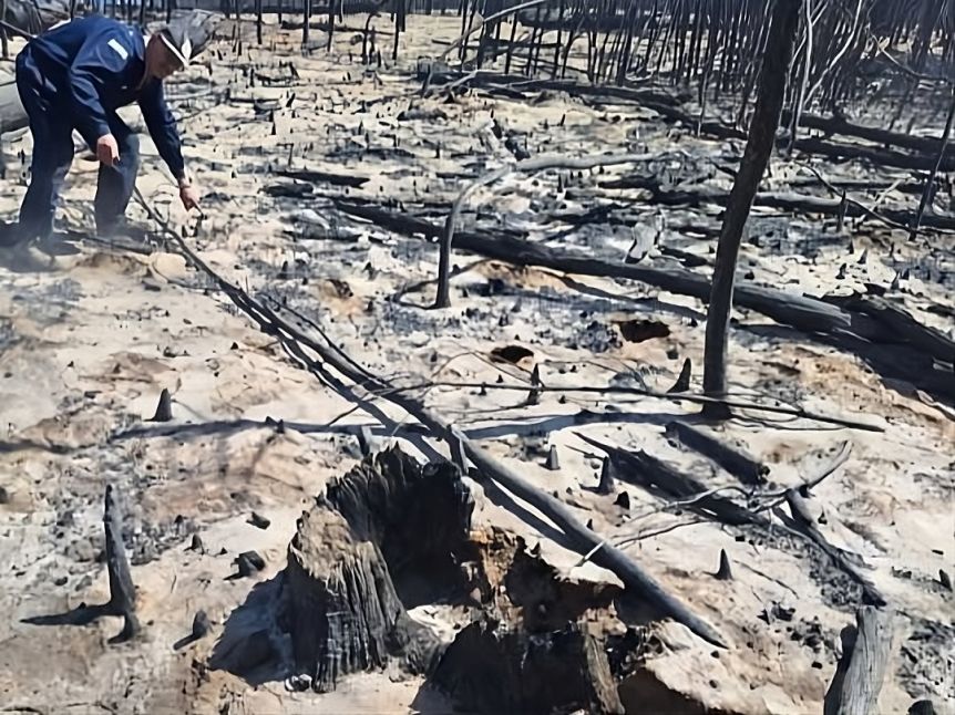Con la intencionalidad fuera de duda, la Justicia avanza sobre el incendio en Puerto Patriada