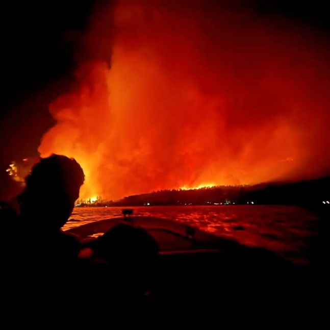 Banco Nación lanzó créditos especiales para productores afectados por los incendios en la Patagonia