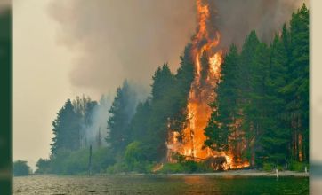 Ya se quemaron más de 3.000 hectáreas y Nación refuerza la presencia en la zona