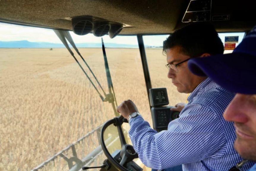 Por primera vez, Santa Cruz cosechó trigo y avena producida localmente