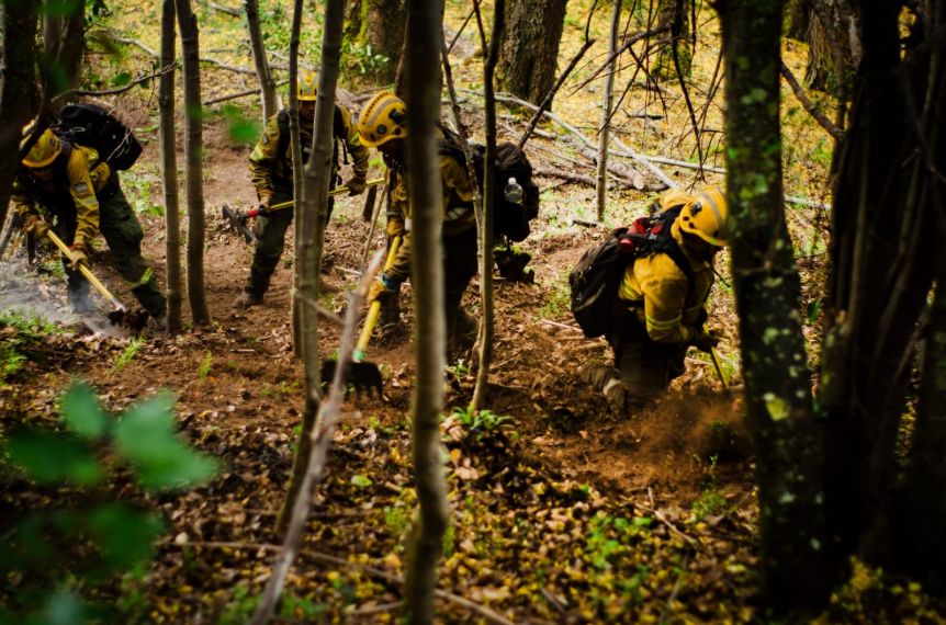 El fuego sigue activo en Los Alerces y ya afectó más de 16.700 hectáreas