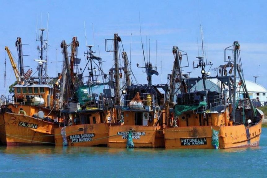 ¿Querés que te cuente el cuento de la buena pipa?: el loop del Gobierno con la pesca