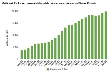 ¿Puede haber otro corralito en la Argentina? Economista K enciende las alarmas