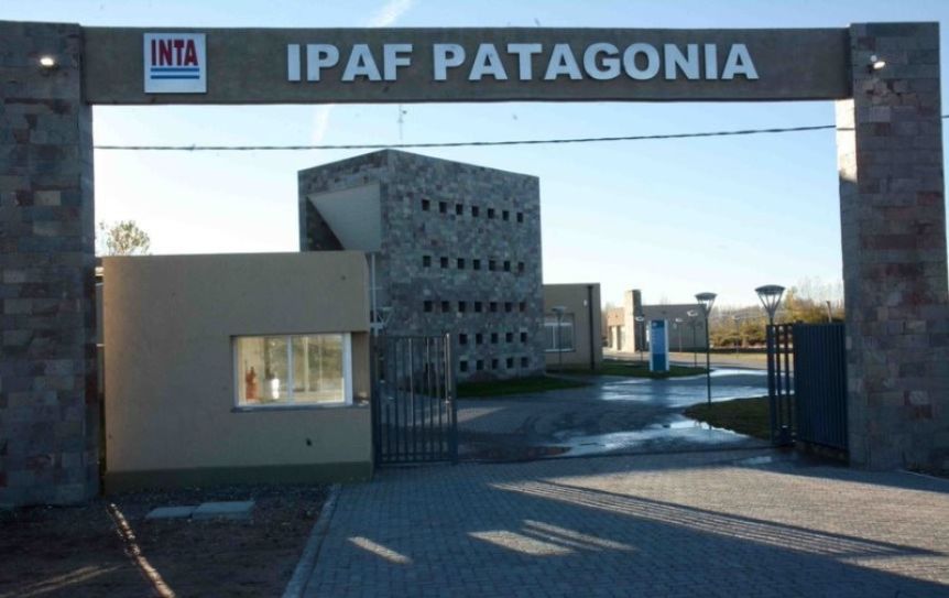 Alerta en el INTA: lanzan retiros voluntarios y crece la preocupación en la Patagonia