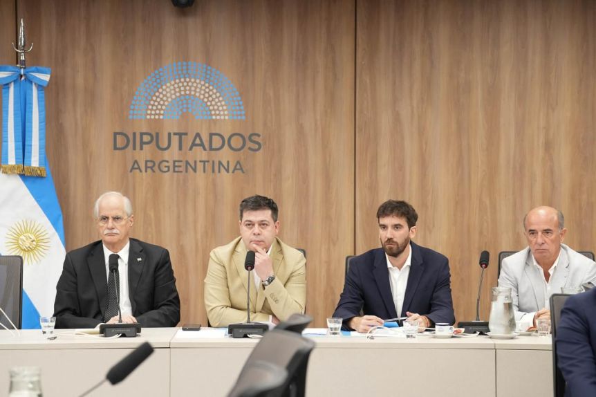 Un diputado chubutense quedó al frente de una comisión clave para la matriz productiva de la provincia