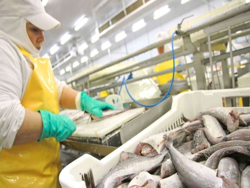 Santa Cruz exigirá procesamiento en tierra para otorgar cuotas de merluza