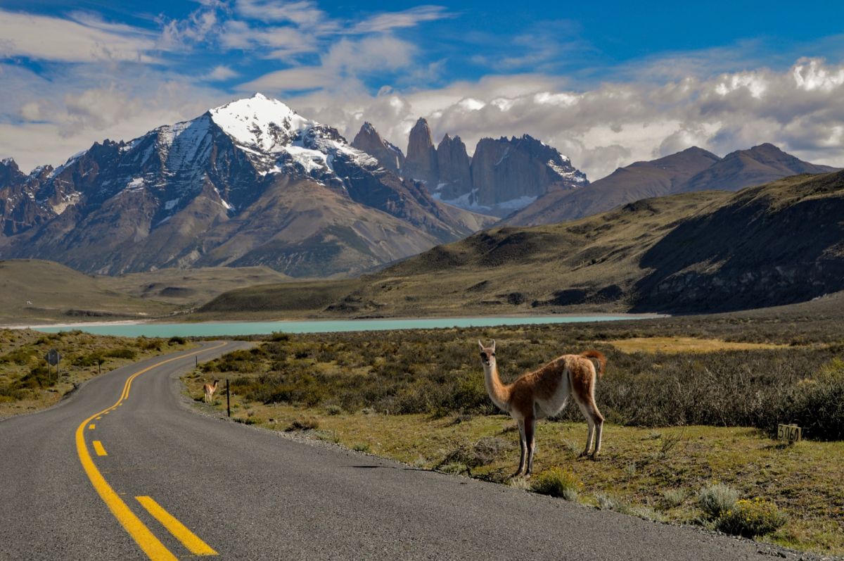 La Patagonia cerró un fin de semana largo con movimiento moderado