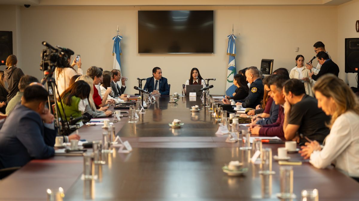 Violencia familiar y niñez: Neuquén avanza con una reforma judicial clave