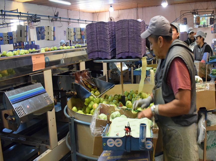 El Gobierno declaró en crisis a la obra social de Empacadores de la Fruta