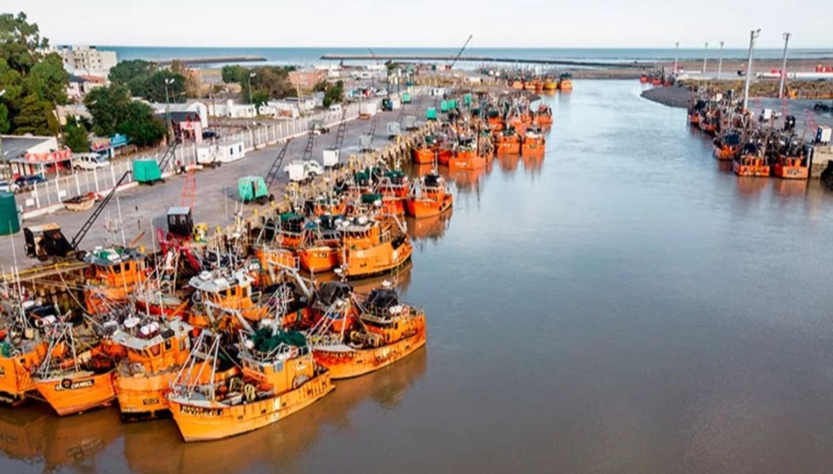 Desde el sector pesquero piden declarar la emergencia y medidas para la